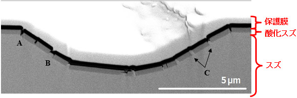圧痕の断面構造の電子顕微鏡写真画像