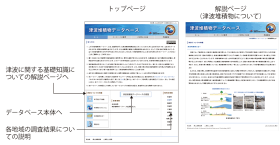 津波堆積物データベースのトップ画面と解説ページ画面の画像