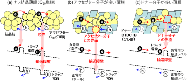 有機半導体薄膜の電荷の輸送と捕捉の図