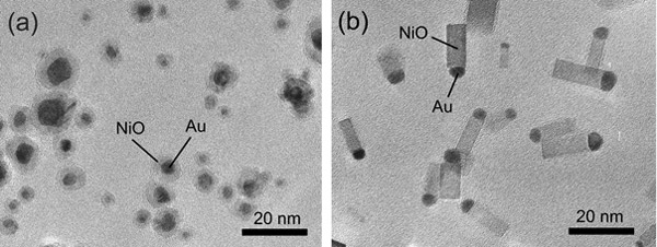 Ni-Au合金ナノ粒子（Au原子濃度：20 at.%）を緩慢酸化させて生成したAu-NiOコア-シェル粒子および急激酸化させて生成したAu-NiO接合ナノロッドのTEM写真