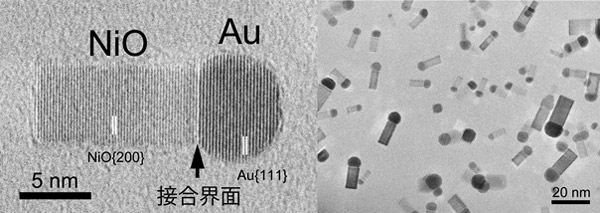金（Au）と酸化ニッケル（NiO）が接合したマッチ棒状のナノ粒子のTEM写真画像
