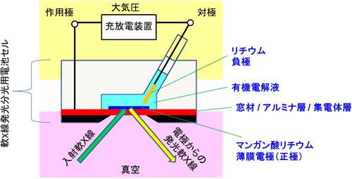 電池セル模式図