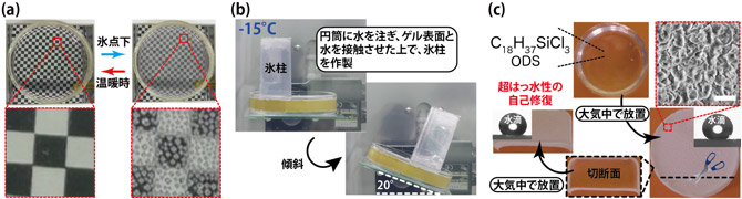 (a)温度を利用した離しょうの可逆的制御の様子、(b)温度応答性離しょうゲル表面上における滑氷の様子、(c)ODSを含有したゲルの超はっ水表面の自発的形成およびその自己修復の図