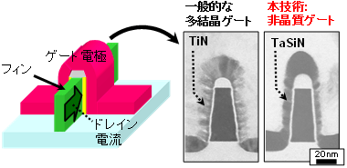 フィンFETの模式図（左）と非晶質金属ゲートおよび多結晶金属ゲート電極の断面電子顕微鏡写真（右）画像
