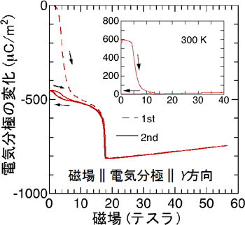 電気分極の磁場依存性の図