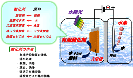 太陽光と光電極による高付加価値な酸化剤および水素の製造の図