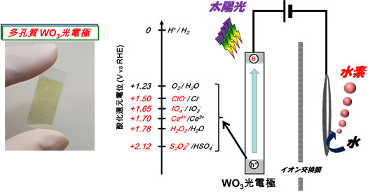 光電極による有用な化学薬品製造の反応機構図