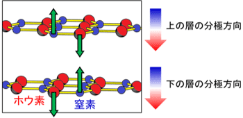 赤外線レーザーによる格子振動とそれによるhBNシートの分極概念図