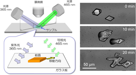 結晶が光で移動する現象の様子の図