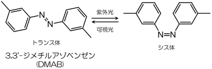 3,3'-ジメチルアゾベンゼンの図