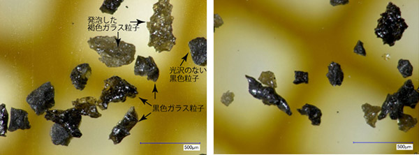 噴煙下を航行した際に採取された火山灰中の黒色、褐色のガラス質粒子の写真