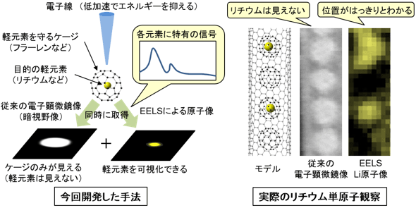 今回開発した手法の模式図（左）と実際に撮影したリチウムの単原子像（右）の図