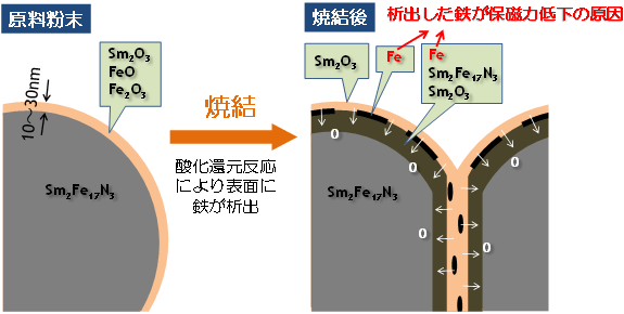 Sm2Fe17N3磁石粉末の焼結によって保磁力が低下するメカニズム予測の図