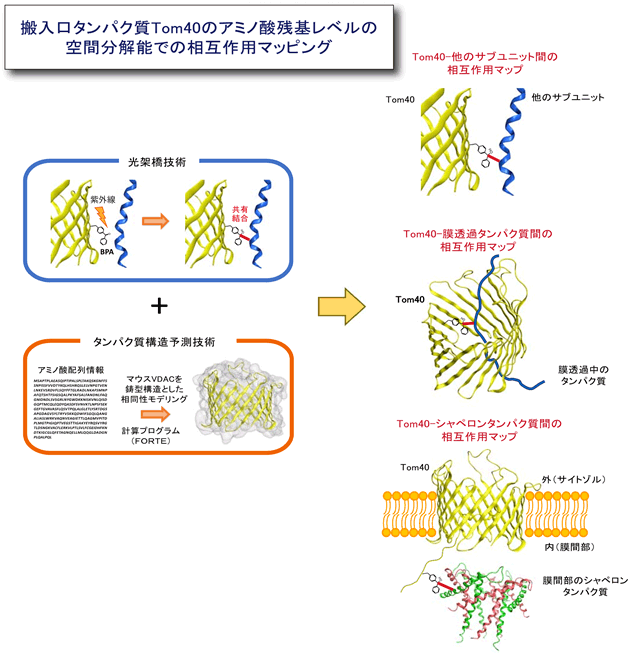 超格子構造のGeTe/Sb2Te3において得られたプローブ光の反射率変化の図