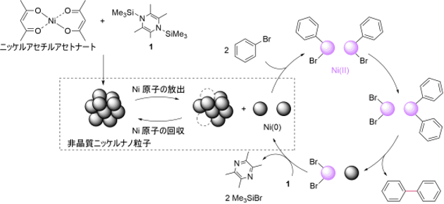 触媒反応サイクル中での非晶質ニッケルナノ粒子の役割の図