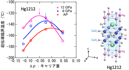 水銀系超伝導銅酸化物Hg1212の超伝導臨界温度のキャリア量による変化(左）と結晶構造(右） の図