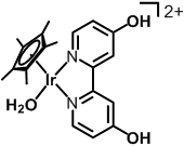 今回の技術で用いたイリジウム錯体の説明図