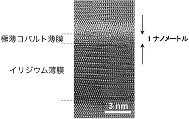 イリジウム薄膜とその上に形成した極薄コバルト薄膜断面の電子顕微鏡像画像