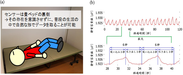 (a) ベッドセンサーとして使用する際のイメージ図、(b) ベッド上で人が周期的に呼吸した際のセンサーの静電容量値の図