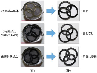 熱水環境試験前後の形態の図