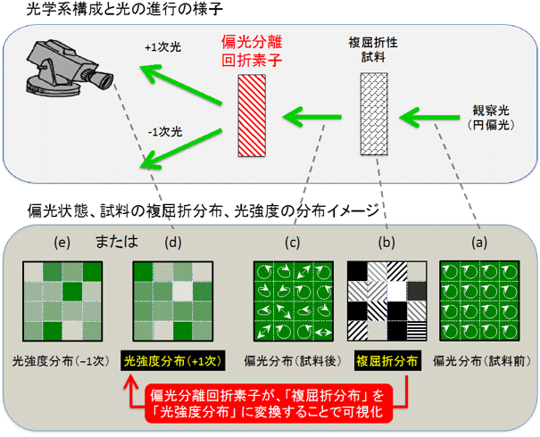 今回開発した装置の主な構成要素（上）と、試料と偏光分離回折素子の前後における偏光状態や光強度の分布のイメージ（下）図