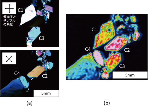 砂糖の結晶を偏光顕微鏡と今回開発した装置で観察した結果の比較の図