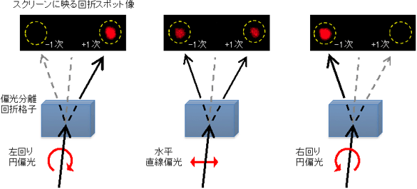 偏光分離回折素子の偏光分離機能の例の図