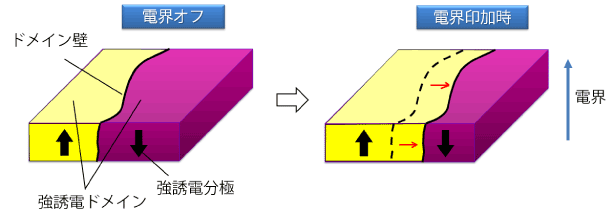 電界の印加によって動く強誘電ドメイン壁の模式図