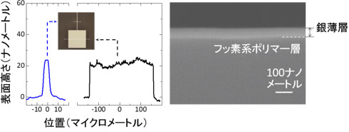 印刷した銀配線の厚み分布と断面電子顕微鏡写真