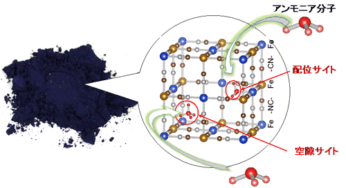 プルシアンブルー（左）と、アンモニア分子を吸着するプルシアンブルーの結晶構造（右）の図