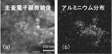 粒子ブラスト後のW基板のSEM像（a）とアルミニウム分布（b）の図