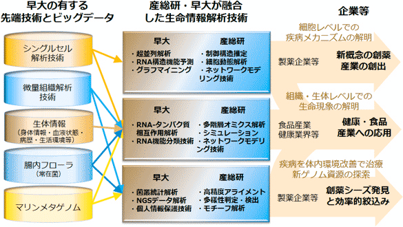 産総研・早大 生体システムビッグデータ解析オープンイノベーションラボラトリ（CBBD-OIL）の図真