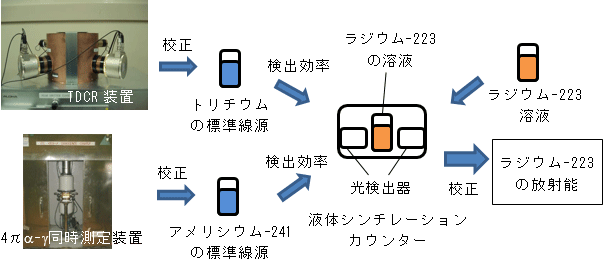 放射性医薬品ラジウム-223の放射能の校正方法の図