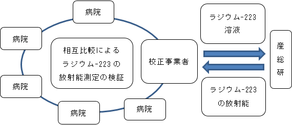 放射性医薬品ラジウム-223の安全性の確保の図