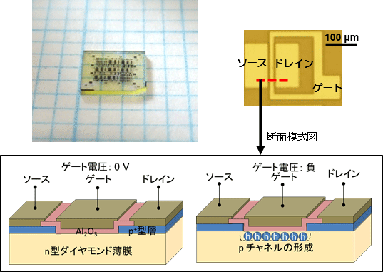 今回作製した反転層チャネルダイヤモンドMOSFET（左上）とその中の一素子を光学顕微鏡で拡大した画像（右上）、赤い破線部の断面模式図