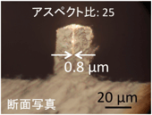 サブマイクロメートル配線（インク溜まり除去前）の図