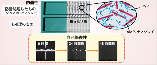 今回開発した防曇処理を施したスライドガラス（左上）、通常のスライドガラス（左中）、防曇膜の構造（右上）と自己修復する様子の電子顕微鏡像（下）の図