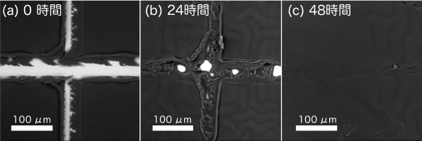 今回開発した防曇膜表面の傷の変化を示すSEM像の図