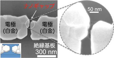 ナノギャップメモリー（ナノギャップを備えた絶縁基板（シリコン酸化膜）上の白金電極）の走査型電子顕微鏡像の図