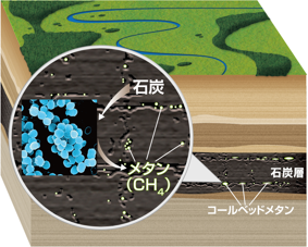 石炭層のコールベッドメタンと石炭をメタンに変えるメタン生成菌の図