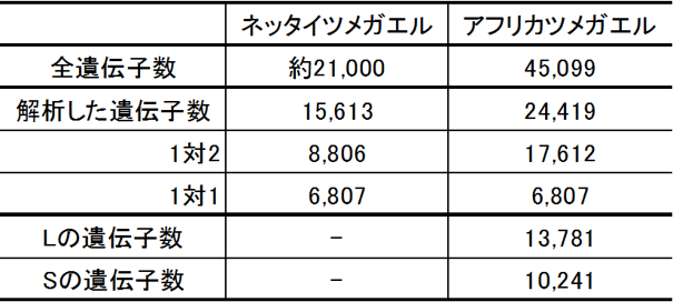 遺伝子数の比較と同祖遺伝子の保持についての表