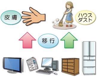 皮膚とハウスダスト経由の暴露量を推定の図