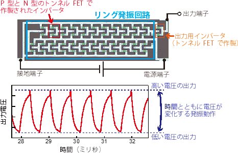 トンネルFETで作製したリング発振回路（上）とその出力電圧特性（下）の図