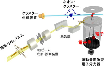 本研究で用いた手法の図