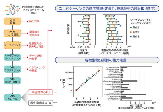 （左）内部標準を添加したマイクロバイオーム試料の解析過程と各過程での精度管理の対象となる指標（赤字）、（右）内部標準を用いた精度管理の例（上：定量性と塩基配列の読み取り精度の評価、下：各微生物分類群の絶対定量）