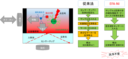 EFA-NIバイオセンサーの基本原理図（左）と必要な工程数の従来法との比較（右）の図