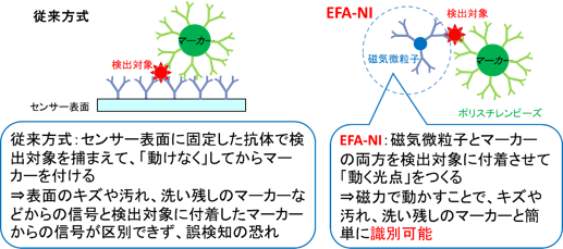 従来方式の検出対象の捕捉方法(左)とEFA-NIバイオセンサーの検出対象の捕捉方法(右)の図