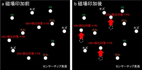 EFA-NIバイオセンサーのバイオ物質検出方法の模式図