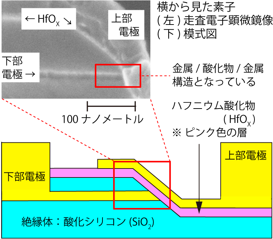 今回開発した抵抗変化メモリーの図