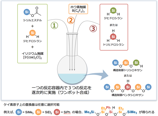 構造制御シロキサン化合物のワンポット合成技術の図